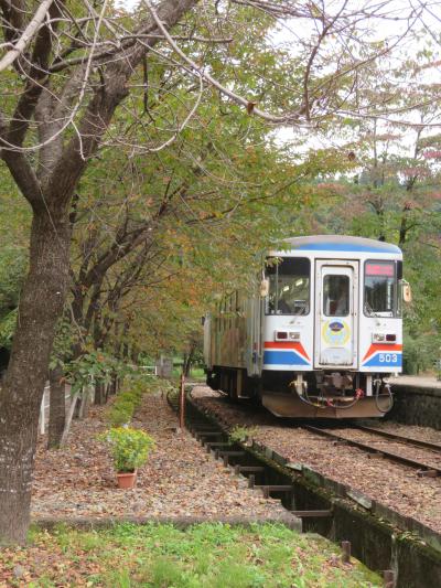 長良川鉄道２日フリーきっぷを使って温泉と終着駅北濃へ