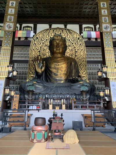 越前大仏と勝山城博物館