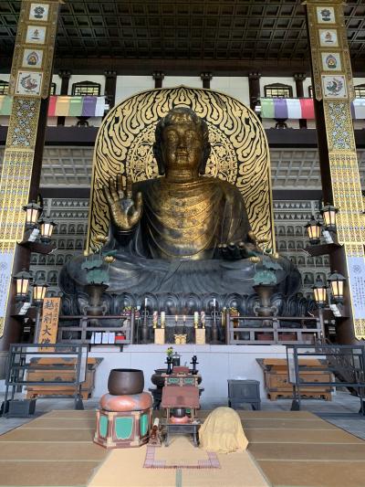 越前大仏と勝山城博物館