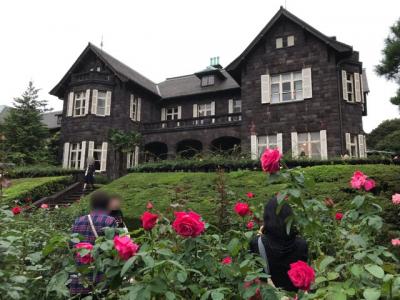 東京・旧古河庭園の秋バラ2019