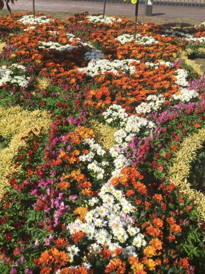 ぶらっと奈良　奈良バスターミナル