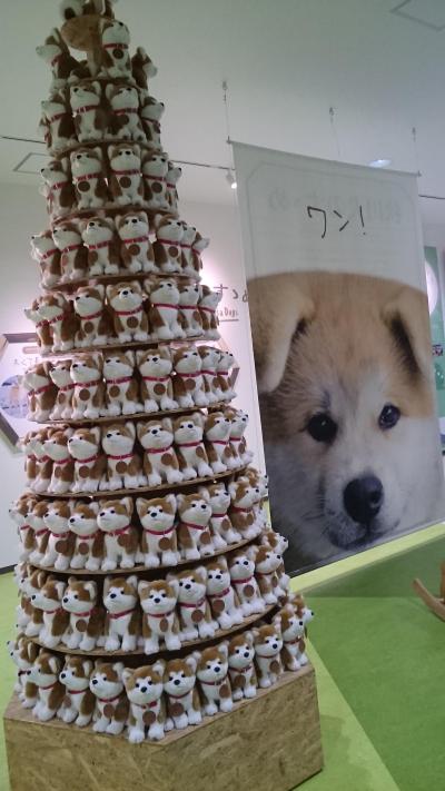 御朱印ハンター 開運スポット十和田とドレス