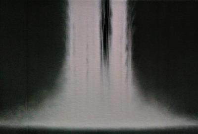 高野山金剛峯寺襖絵完成記念　「千住博展」を鑑賞します！