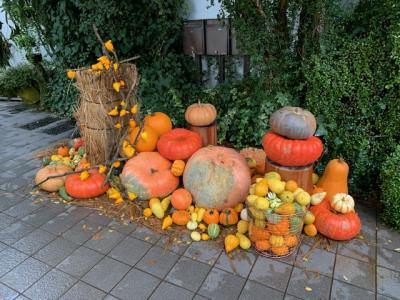 表参道でランチにお茶に･･･楽しい１日でした