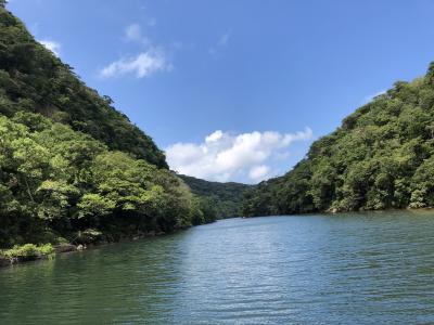 八重山諸島の大自然をハイキング、水牛車にゆられ由布島へ