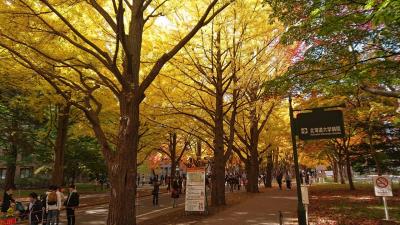 札幌中心部(北大と道庁イチョウ並木、大通公園)と定山渓・豊平峡の紅葉。〆はセイコーマート北大店。  