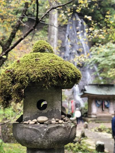 １５０年ぶりに特別公開された羽黒山五重塔を拝観