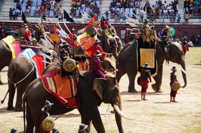 スリン 象祭りにチケットなしで行ってみる (Elephant Roundup festival without reservation)