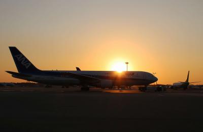 成田空港散策