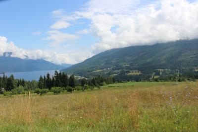 初夏のカナディアン・ロッキー2019 Day8-1（湖畔の町、Salmon Arm）