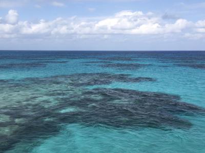 【ひとり旅】（台風20号の中）石垣島・波照間島に行ってきました！（2019.10.18-22）