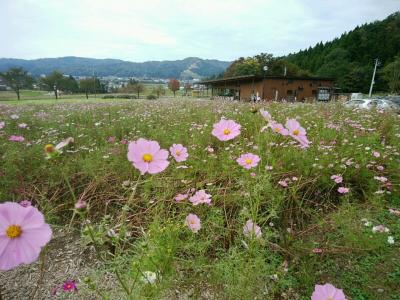 秋の越後の旅　⑥