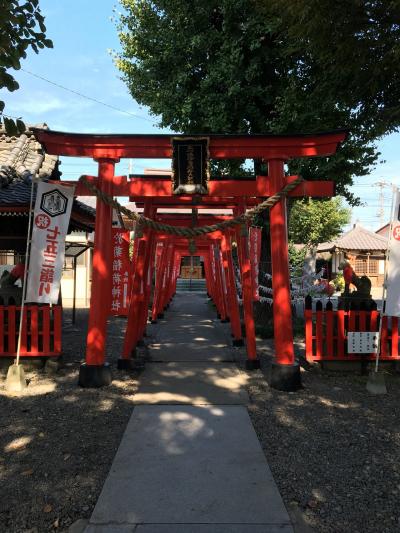 於菊稲荷神社⛩