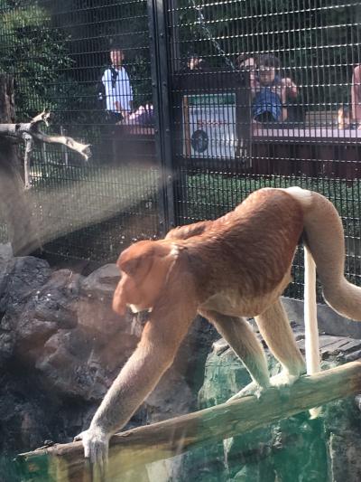 珍しい動物いっぱい！横浜ズーラシア動物園へ