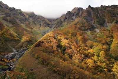 谷川岳　一ノ倉沢～マチガ沢　日帰り紅葉ハイキング（電車・バス利用）