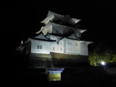 ２０１９年　１０月下旬　夜の小田原城・・・・・②夜の小田原城址公園