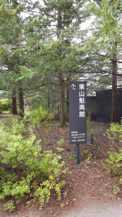 桜子さん 祝信濃美術館 部分開館 初のバス旅