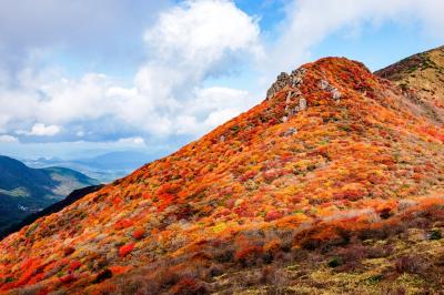 九重山の紅葉　2019