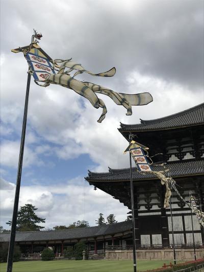 東大寺・盧舎那仏造顕発願慶讃法要献茶式と二月堂・三月堂・春日大社を草履で13000歩・疲れました。