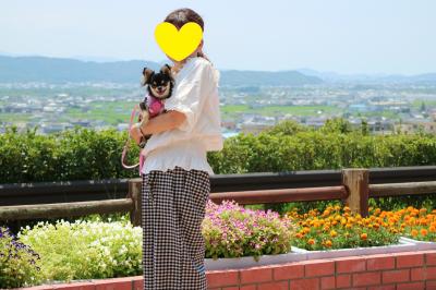 愛犬まおちゃんとの初旅行は白浜