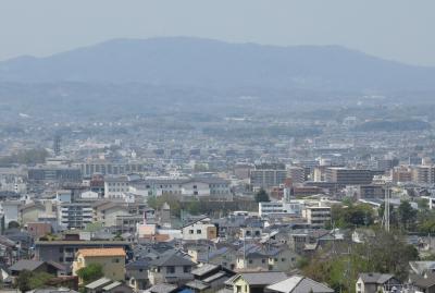 2018春、関西の花のお寺(4/16)：百毫寺(4)：本堂、花の寺、五色椿の落花、奈良眺望