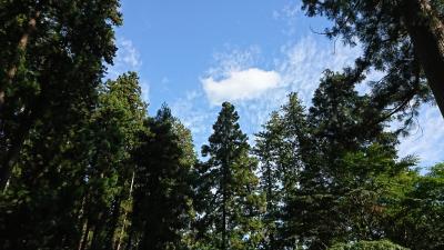 10月後半に妙義神社に行って来ました。