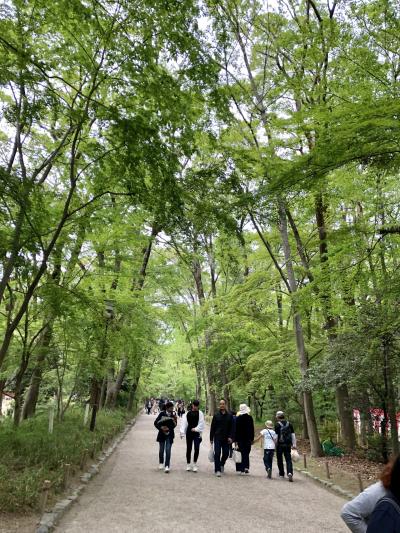 ☆月イチお出かけ：2019年4月☆平成最後の京都旅行