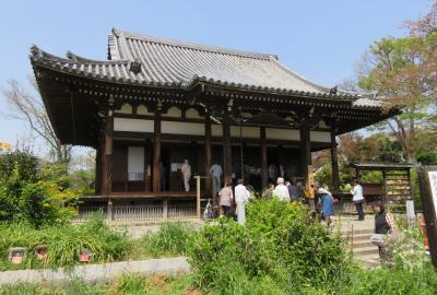 2018春、関西の花のお寺(6/16)：般若寺(1)：本堂、十三重石塔、観音石像、釈迦座像