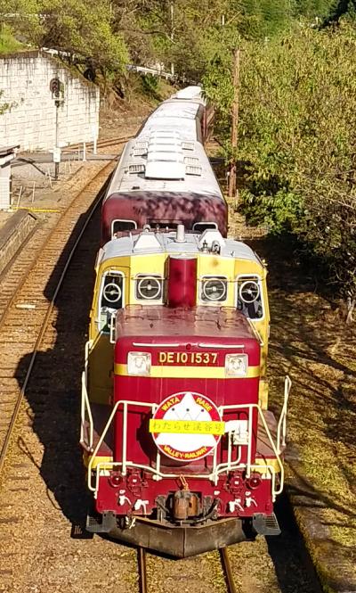 わたらせ渓谷鐵道トロッコ列車に初乗り