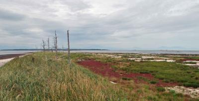 北海道一か月気まま旅　野付半島編