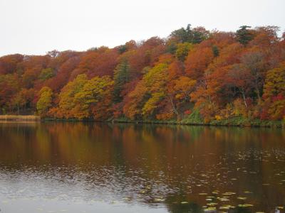 東北・りんごと紅葉と温泉巡り（３日目）