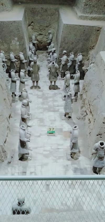 行きたかった兵馬俑