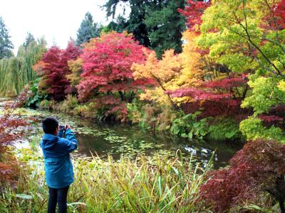 紅葉＆アウトドア！バンクーバー家族旅行