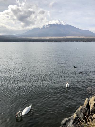 エクシブ山中湖 ラージ(Hタイプ) 1泊2日