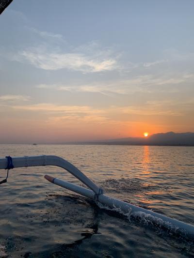 バリ島ダイビング&イルカウォッチング旅行～ムンジャンガン～
