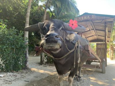気晴らしひとり旅 at 石垣島