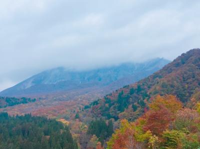 鳥取砂丘に行かなくても楽しめた、新しい発見の連続だった7年ぶりの鳥取旅行 Part III: お天気は味方してくれず…大山の紅葉は雲の中 涙