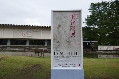 正倉院展に行きました