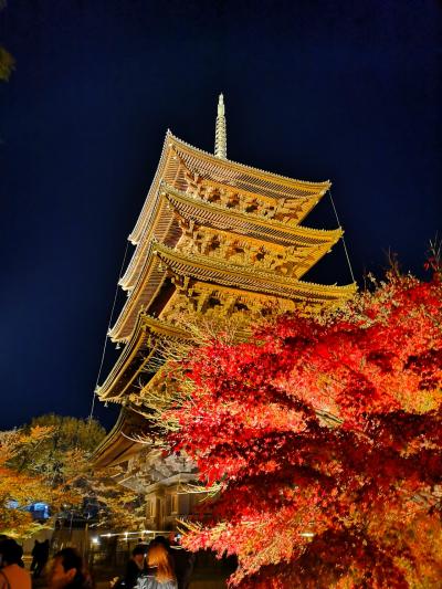 11月の三連休。京都の紅葉三昧。夫婦で京都いこう