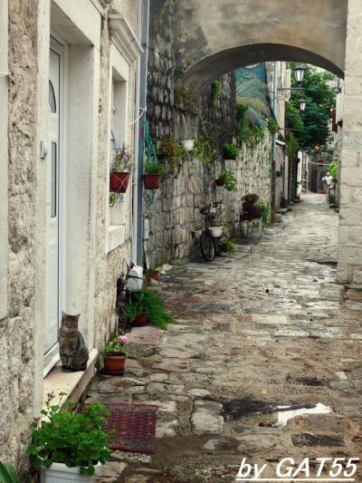 ２０１９年夏の旅vol.10～母親連れてモンテネグロ・ぺラスト編その２～