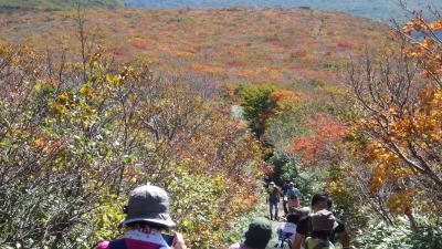 宮城・秋田・岩手三県に跨る紅葉の栗駒山