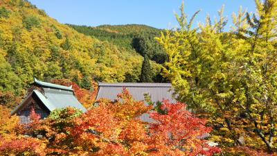 大糸線の旅、紅葉の信濃大町へ！