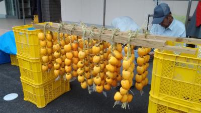 谷汲山華厳寺参拝と伊自良大実連柿体験