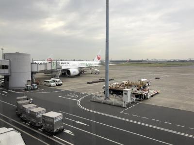 A350で福岡へ