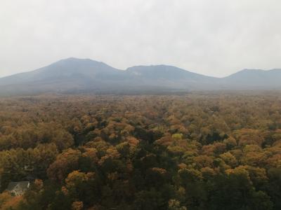 2019 11月 日帰りバスツアー/軽井沢他