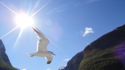 Norwegian Woodの曲のイメージ？　 　　　 　ノルウェー 