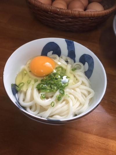 ワンコ連れで初車中泊と香川うどん巡り～1日目～