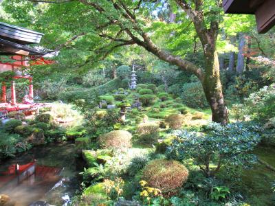 秋の京都大原で庭園ひとり占め～静寂の世界