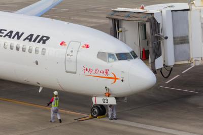 北海道・沖縄　5泊6日（2017）　～6巻／全8巻～