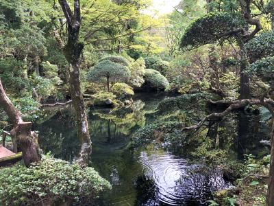 こんな時こそ箱根へ！仙石原《仙郷楼》泊